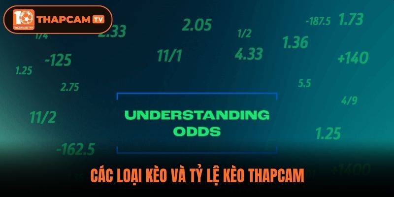 Các loại kèo và tỷ lệ kèo Thapcam