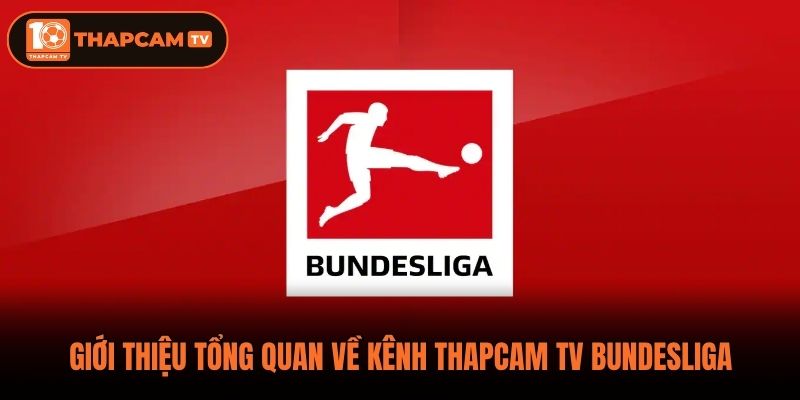 Giới thiệu tổng quan về kênh ThapCam TV Bundesliga