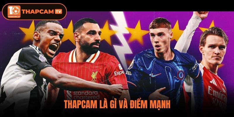 Thapcam là gì và điểm mạnh