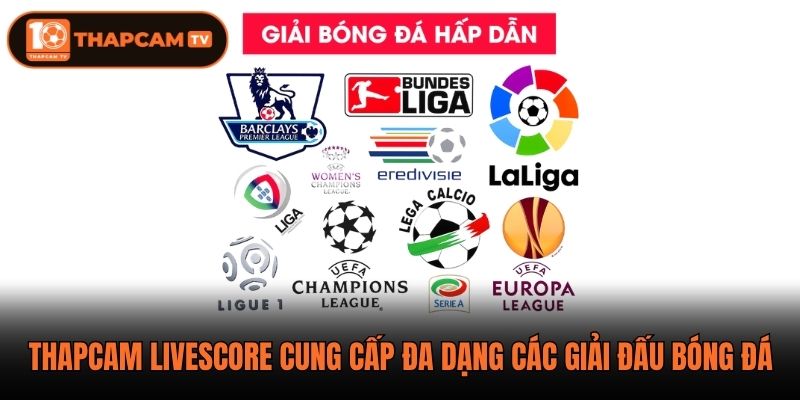 Thapcam livescore cung cấp đa dạng các giải đấu bóng đá