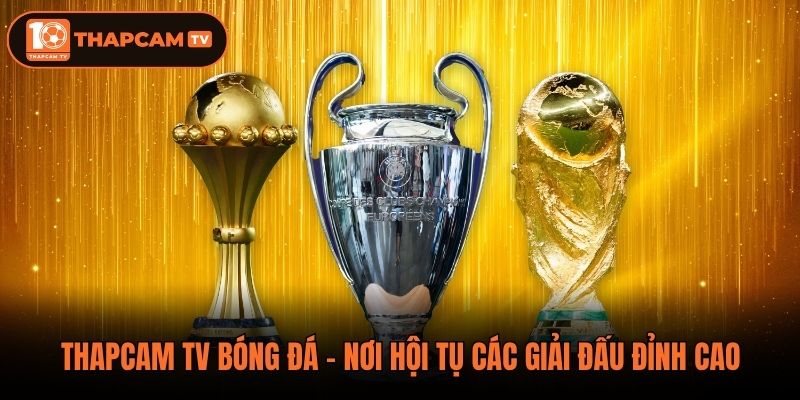 Thapcam TV Bóng Đá - Nơi Hội Tụ Các Giải Đấu Đỉnh Cao