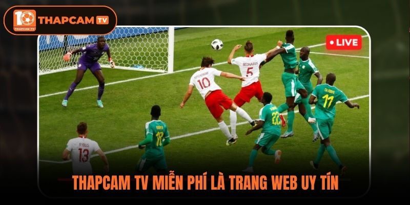 Thapcam tv miễn phí là trang web uy tín