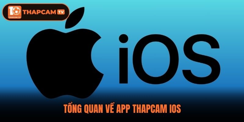 Tổng quan về app Thapcam ios