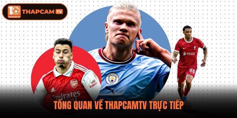 Tổng quan về Thapcamtv trực tiếp
