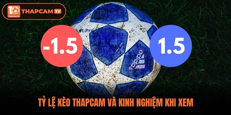 Tỷ lệ kèo Thapcam và kinh nghiệm khi xem