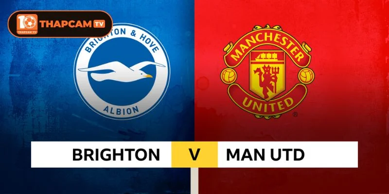 Brighton vs Man Utd là kèo đấu vòng 38 kết màn đáng mong đợi tại Premier League.