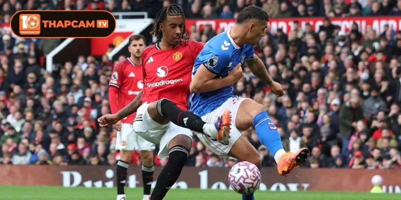 Soi kèo nhà cái Brighton vs Man Utd cho thấy có sự tương quan lớn.