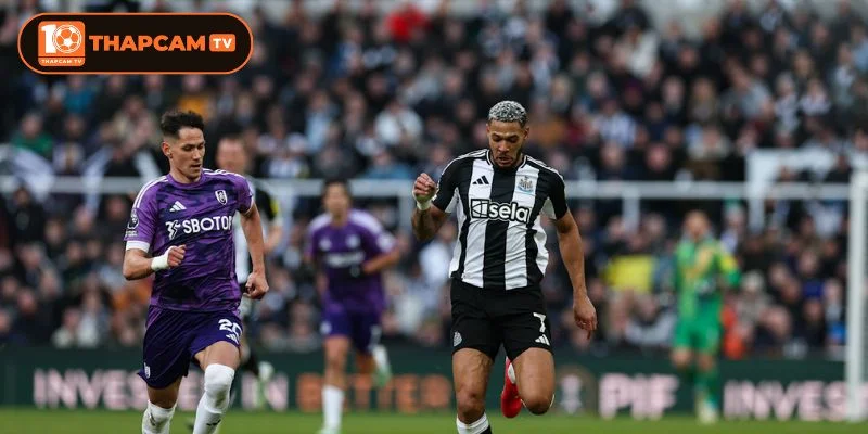Fulham và Newcastle đều không đặt nặng thắng thua ở kèo đấu này.