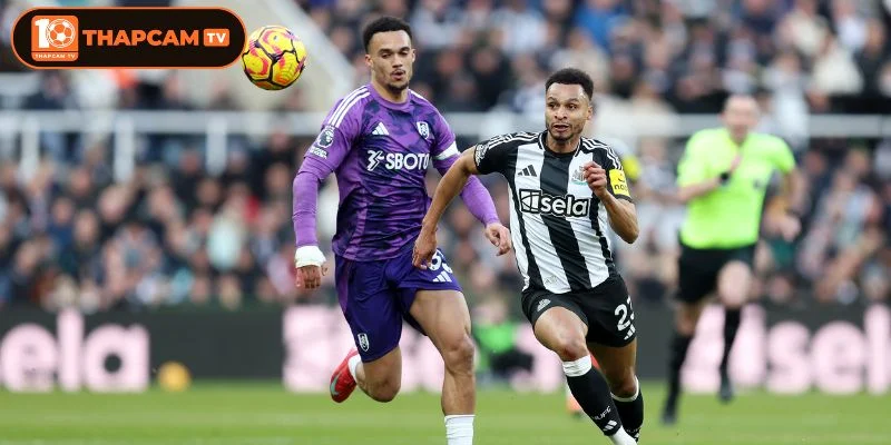 Cả Fulham vs Newcastle sẽ ra sân với đội hình tương thiếu vắng nhiều vị trí quan trọng.