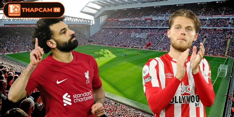 Trận đấu Liverpool vs Brentford là kèo đấu có tính cạnh tranh rất cao.