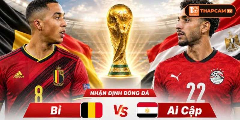 Bỉ là đội bóng châu Âu giàu thành tích với 15 lần tham dự WC.