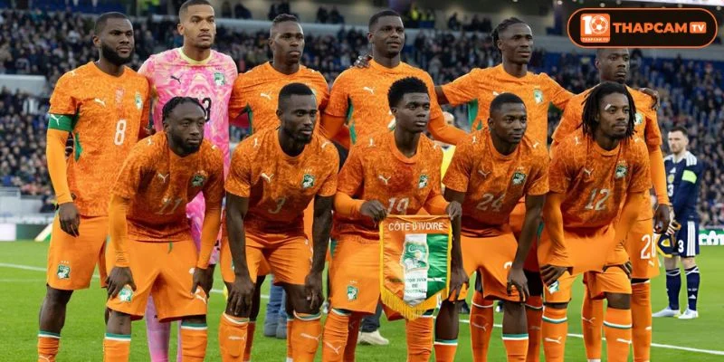 Đội hình tuyển Bờ Biển Ngà World Cup 2026 hoàn thiện với các vị trí trọng yếu.