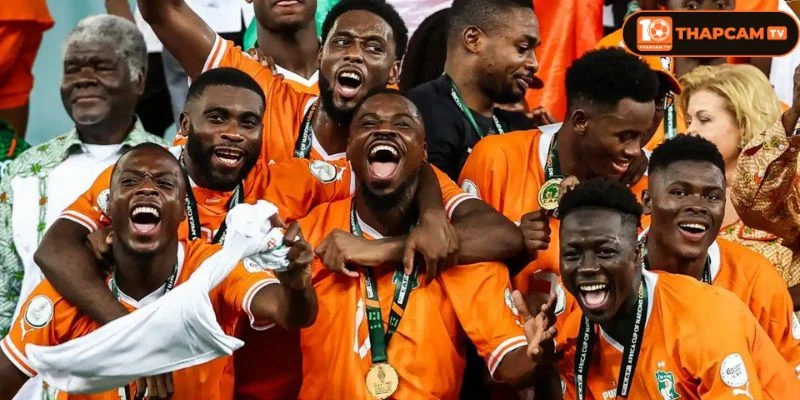 Đội Hình Tuyển Bờ Biển Ngà World Cup 2026: The Elephants Kiêu Hãnh