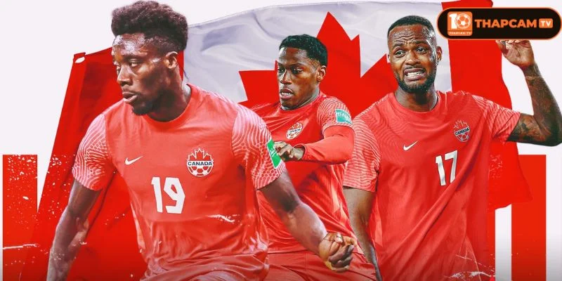 Đội Hình Tuyển Canada World Cup 2026: Trưởng Thành Đủ “Chín Muồi”