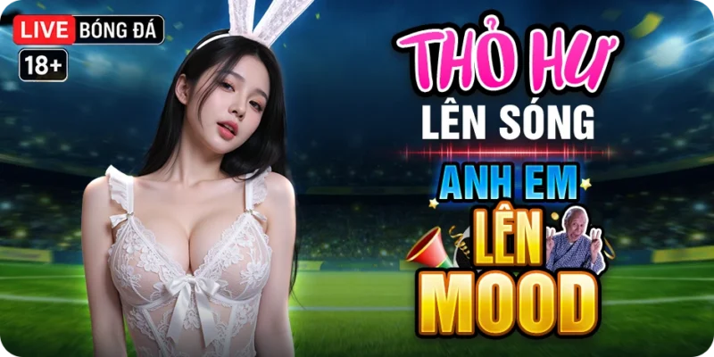 livestream thapcam