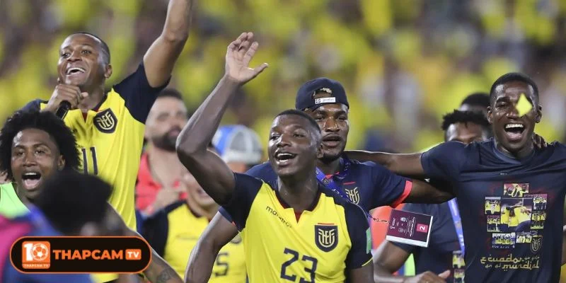 Ecuador là ẩn số đầy bất ngờ của kỳ World Cup 2026.