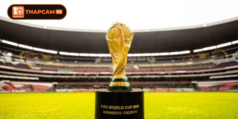 World Cup 2026 Khi Nào Khai Mạc? Cập Nhật Lịch Thi Đấu 24/7